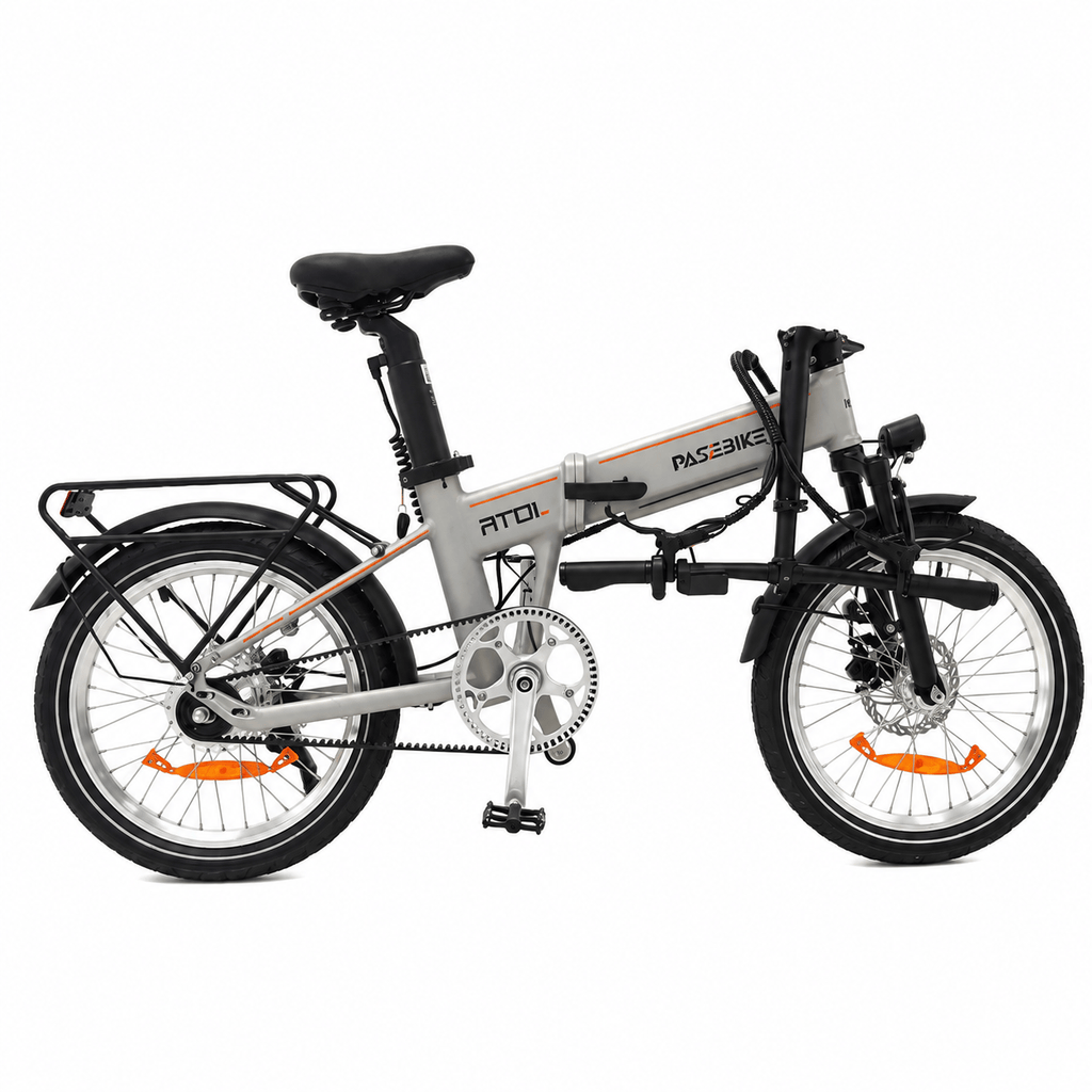 PASEBIKE LIBON RT01 の製品画像3