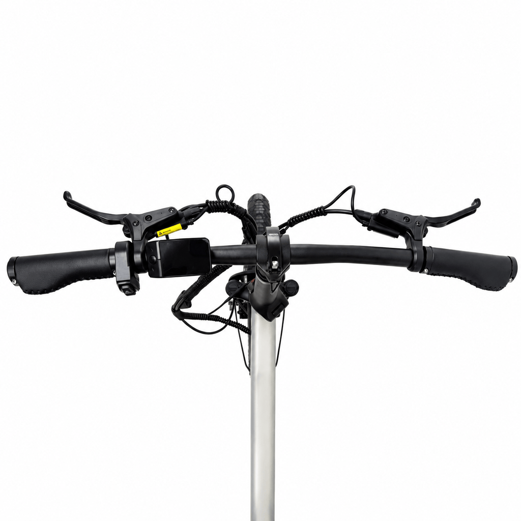 PASEBIKE LIBON RT01 の製品画像6